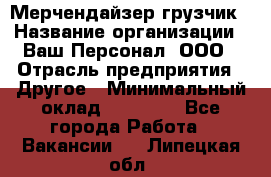 Мерчендайзер-грузчик › Название организации ­ Ваш Персонал, ООО › Отрасль предприятия ­ Другое › Минимальный оклад ­ 40 000 - Все города Работа » Вакансии   . Липецкая обл.